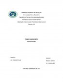 ENSAYO ARGUMENTATIVO SOBRE LA COMUNICACION
