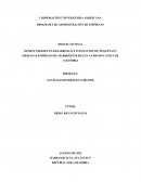 OPORTUNIDADES EN DESARROLLO E INNOVACIÓN DE PEQUEÑAS Y MEDIANAS EMPRESAS DE MARROQUINERAS EN LA REGIÓN COSTA DE