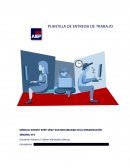 Sustentabilidad para la organización. IANSA