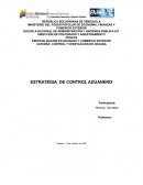 ESTRATEGIAS DEL CONTROL ADUANERO