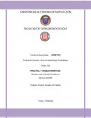 PRÁCTICA 1: CRUZAS GENÉTICAS