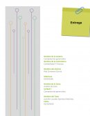 ¿De qué es responsable la Empresa Grupo Bimbo?