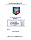 CRECIMIENTO ECONÓMICO