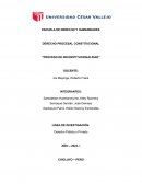 Proceso de inconstitucionalidad