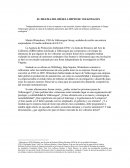 EL DILEMA DEL DIÉSEL LIMPIO DE VOLKSWAGEN