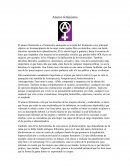 Anarco feminismo