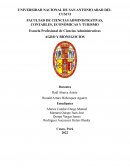 PLAN DE NEGOCIO CHOCO RICH