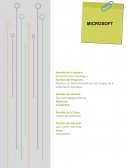 Analisis de caso Microsoft