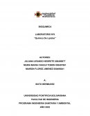 Quimica de lipidos