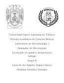 Laboratorio de Microbiología 1 Simulador de Microscopía