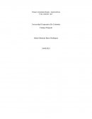 Ensayo neuropsicología - neurociencia