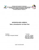 Taller y Socialización vía Video Chat