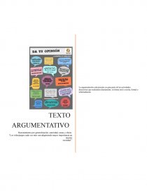 Texto argumentativo “Los videojuegos cada vez más van adquiriendo mayor importancia en nuestra sociedad.”. Página 1