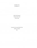 INFORME FINAL DIAGNOSTICO FINANCIERO