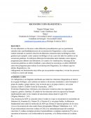 RECONSTRUCCIÓN FILOGENÉTICA