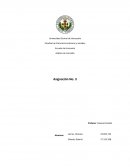 Análisis de la Industria y los competidores del producto