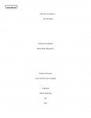 Solución al caso práctico ¿En qué sites o aplicaciones le recomendarías a María Flores S A realizar una campaña digital?