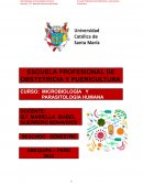 MICROBIOLOGÍA Y PARASITOLOGÍA HUMANA
