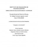 Importancia de las disciplinas linguisticas