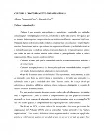 CULTURA E COMPORTAMENTO ORGANIZACIONAL. Página 1
