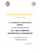 ELEMENTOS E INSTRUMENTOS DE LA ORGANIZACIÓN