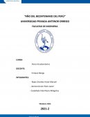 Informe ley de coulomb