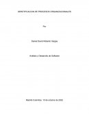IDENTIFICACION DE PROCESOS ORGANIZACIONALES