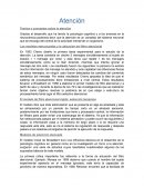 Teorías y conceptos sobre la atención