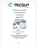 OPERACIÓN DE PLANTAS DE PROCESAMIENTO DE MINERALES