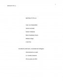 PROYECTO DE INVERSIÓN MENTALIST IPS S.A