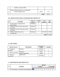 PROYECTO: CREACIÓN DE UN PROGRAMA VOLUNTARIADO DE ASESORAMIENTO Y CONSULTORIA EMPRESARIAL. Página 4