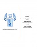 Presentacion negocio digital