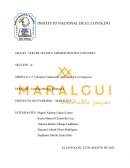 PROYECTO DE INVERSION MARALGUI