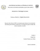 Anatomía e histología humana