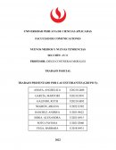 PROBLEMÁTICAS EN LA PLATAFORMA DE STREAMING