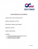 Seminario de tesis (violencia contra las mujeres en tabasco)