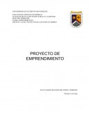 Criterios de segmentacion. Organigrama del proceso de mi emprendimiento