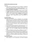 Resumen ¿Qué es la política?