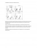 Modelado y Predicción de la Biosfera Terrestre