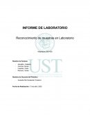 Reconocimiento de muestras en Laboratorio