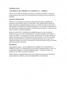 INFORME FINAL . COLOMBIANA DE COMERCIO Y/O ALKOSTO S.A