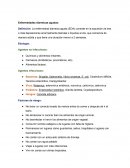 Enfermedades diarreicas agudas