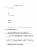Informe PSICOLOGICO. CASO KARLA