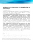 Conflictos Funcionales