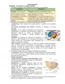 CUESTIONARIO DE ORGANIZACION Y TOPOGRAFIA DEL SNC