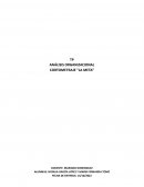 TP ANÁLISIS ORGANIZACIONAL CORTOMETRAJE “LA META”