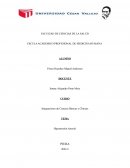 Hipertensión Arterial