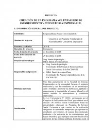 PROYECTO: CREACIÓN DE UN PROGRAMA VOLUNTARIADO DE ASESORAMIENTO Y CONSULTORIA EMPRESARIAL. Página 1