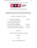 TRABAJO QUE, COMO PARTE DEL CURSO DE PROBLEMAS Y DESAFÍOS EN EL PERÚ ACTUAL