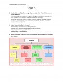 Preguntas examen biocombustibles